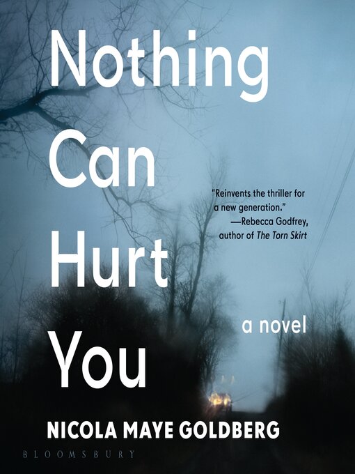 Title details for Nothing Can Hurt You by Nicola Maye Goldberg - Available